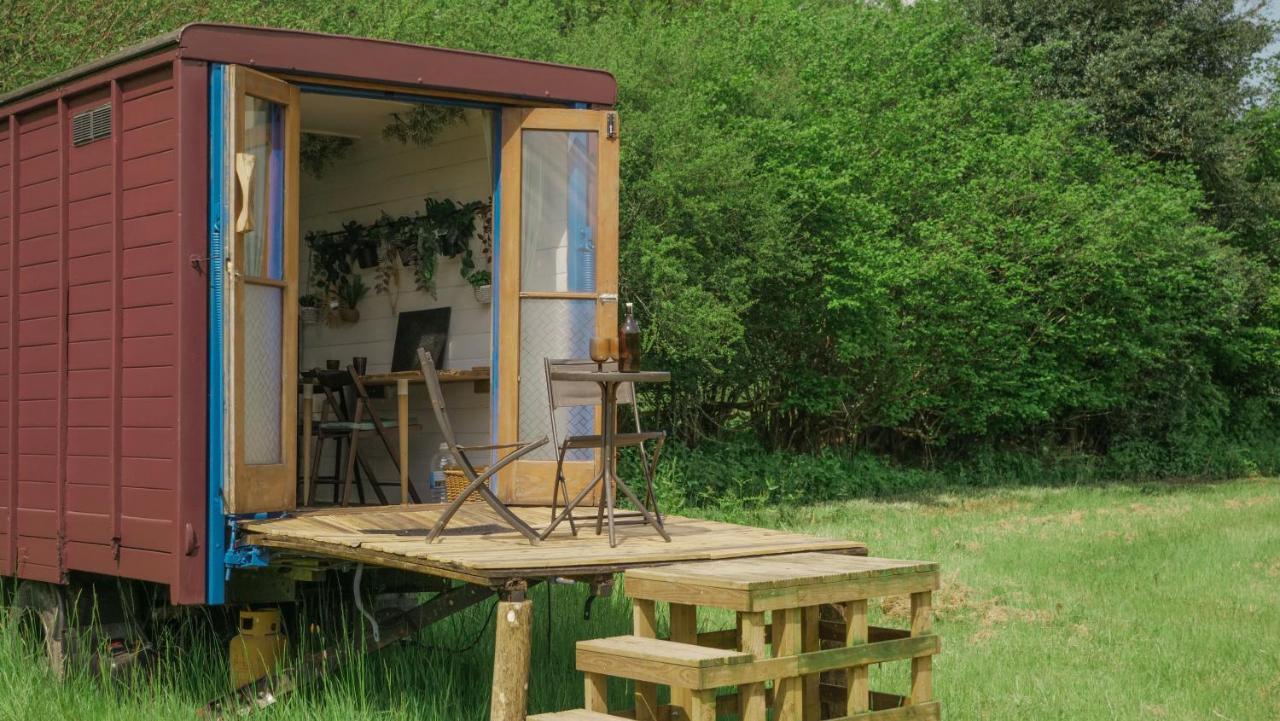 Quirky Vintage Horsebox Conversion With Stunning Views Of Ardingly Reservoir Balcombe Luaran gambar